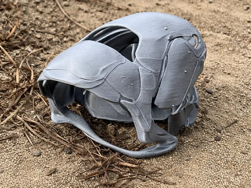 Dunkleosteus Skull