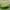 Supporto per figure Tuft Turf e base per diorama scenografico
