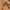 Llavero de llave dorada Low Poly