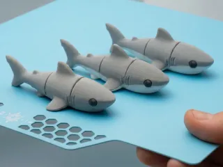 flexi shark