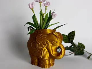 Vase ford dried flowers