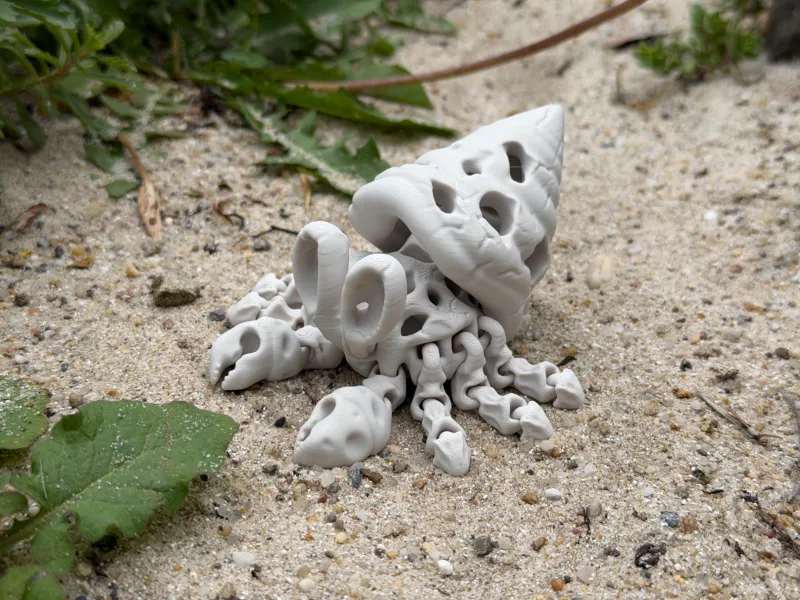 Articulated Skeleton Hermit Crab