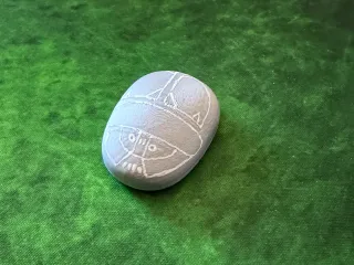 Scarabaeus