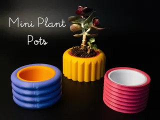 Mini Plant Pot with Removable Drip Tray