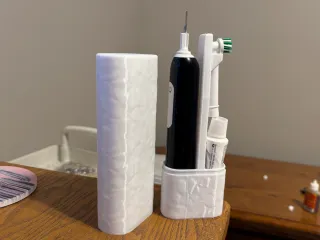 Oral-B electric Brush Travel Case