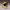 VR EMOJI