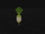yellow radish-0