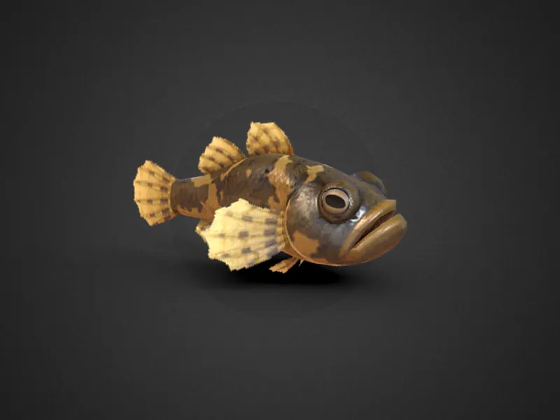 Fish Donko Animal crossing New Horizons
