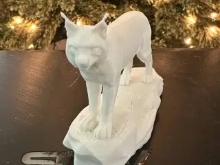 Lynx