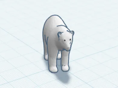 Polar bear