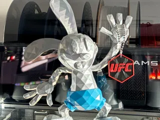 UFC NFC-Schlüsselanhänger