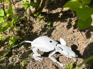 Mechanic, robot mouse