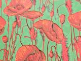 Poppies-0