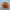 Pumpkin Clicker Halloween
