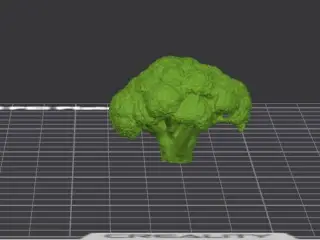 Broccoli– Realistic 3D Model