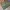 Pot rectangulaire