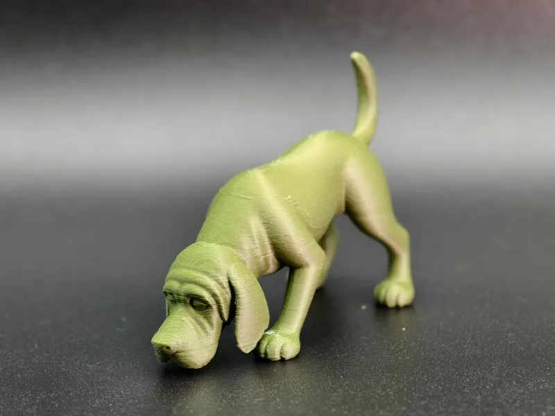 血猎犬