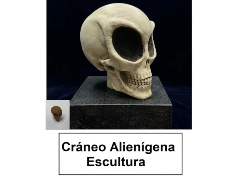 Alien-Schädel – 3D-Modell / Skulptur