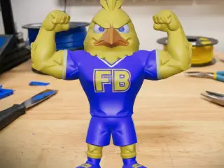 FB KANARYA