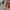 Round Hamster Sweetheart – Noah0x03