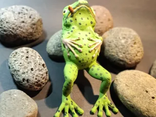 🐸 RANITA VICIOSA PEREZOSA
