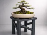 Multi‑Purpose Utility Stool — Support‑Free-0