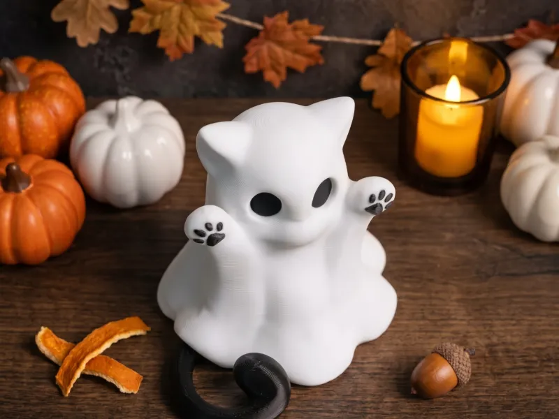 👻 Geisterkatze