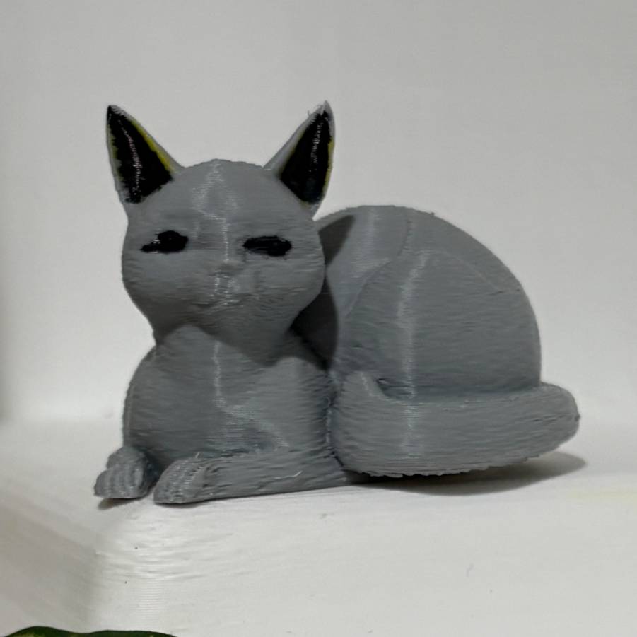 Home print settings: cat.3mf