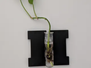 HOME Plant Vials Holder