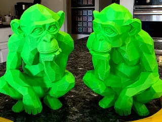 Geometric Monkey
