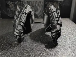 Batman Cat Arms