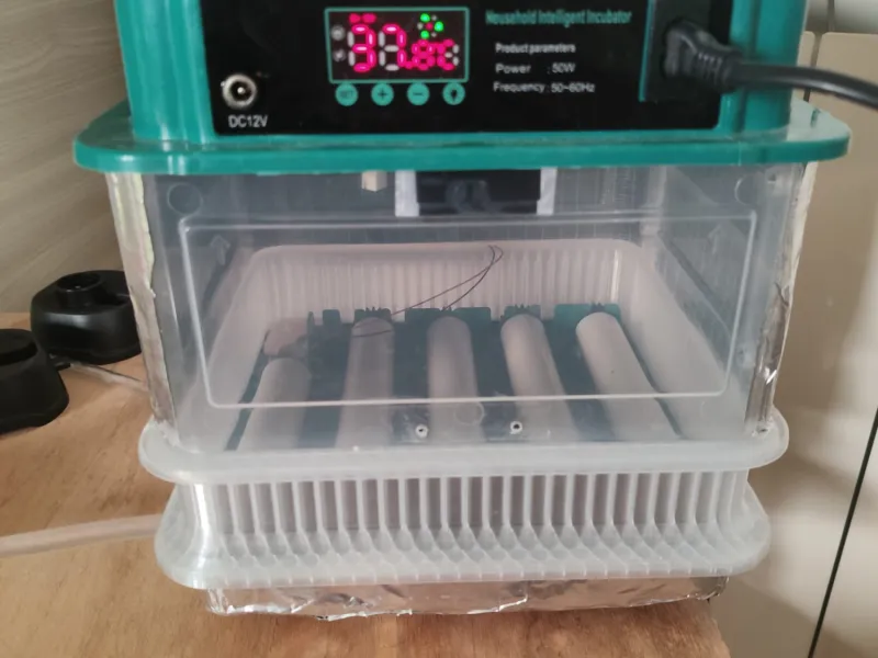 Rialzo per incubatrice