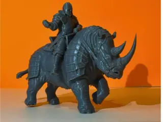 rhinocerontis
