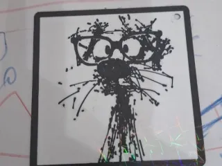 gato peludo