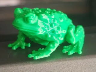 toad