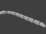Snake-0