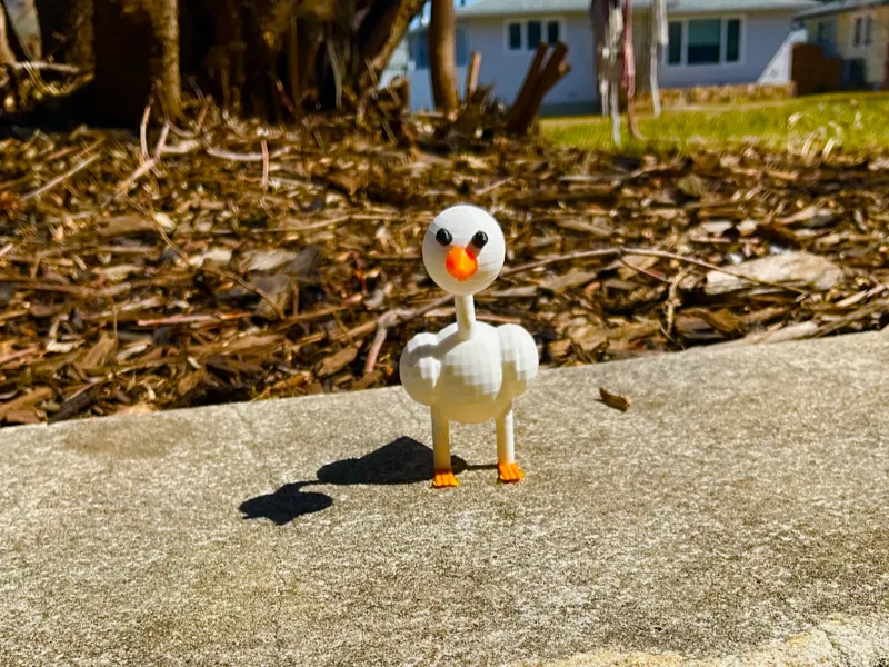 Duck