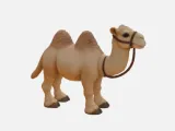 Camel-0