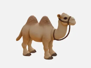 Camel