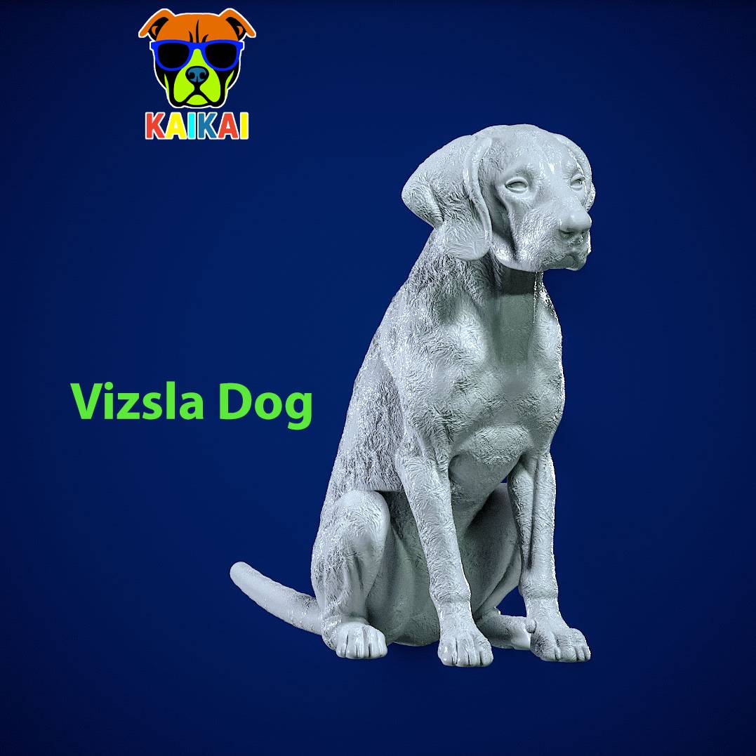 Dog Vizsla - Vizsla Hungary dog model - 3D print