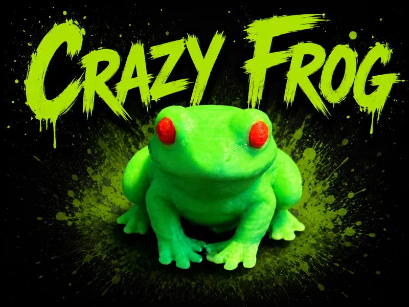 Crazy Geocache Frog – 5x3mm Magnet