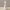 Volpe Minimalista Saggia – Statuetta Decorativa Elegante