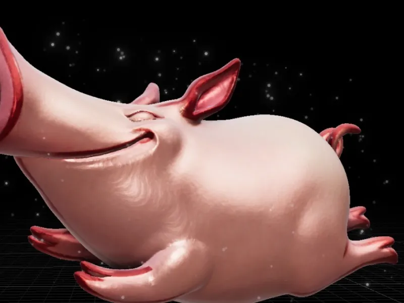 Cartoon Pig