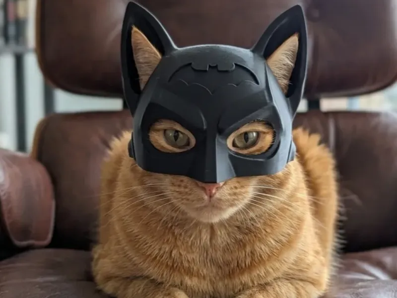 猫用バットマンヘルメット