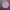 Sparkx i7 MakerCoin / Llavero multicolor