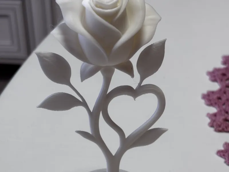 Beautiful rose