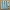 Gridfinity socket holder Dexter