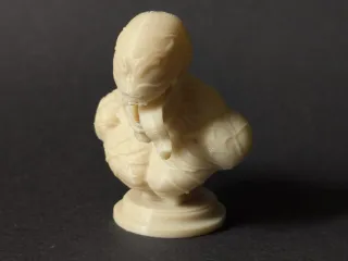 bust venom