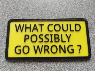 What Could Possibly Go Wrong