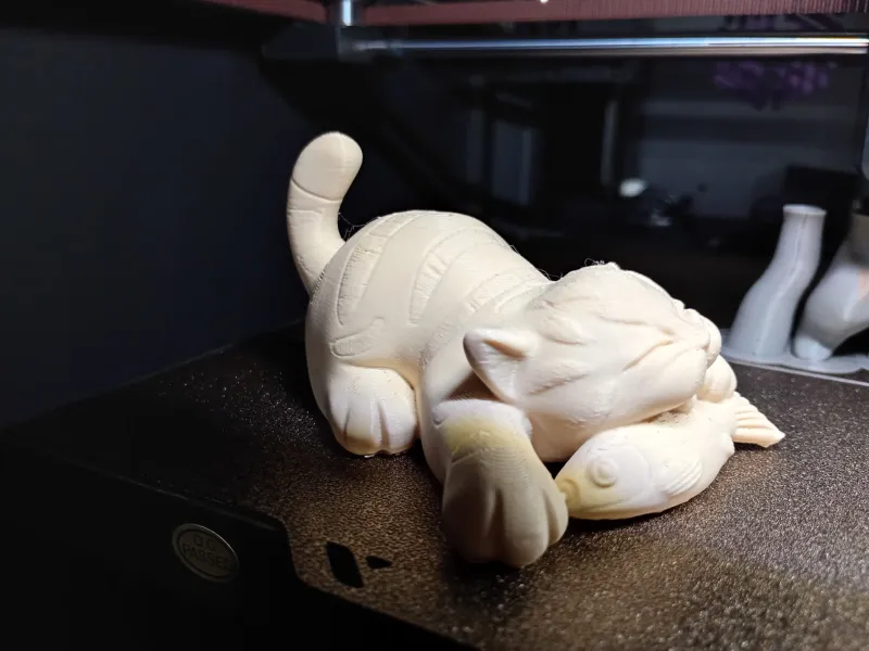 🐱 Sleeping Cat on Fish